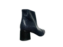 Lade das Bild in den Galerie-Viewer, TJQ Blu/Pitonato